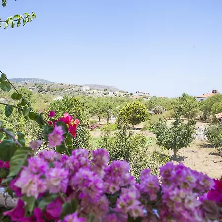 شقة Flat W Nature View Balcony 1 Min To In *